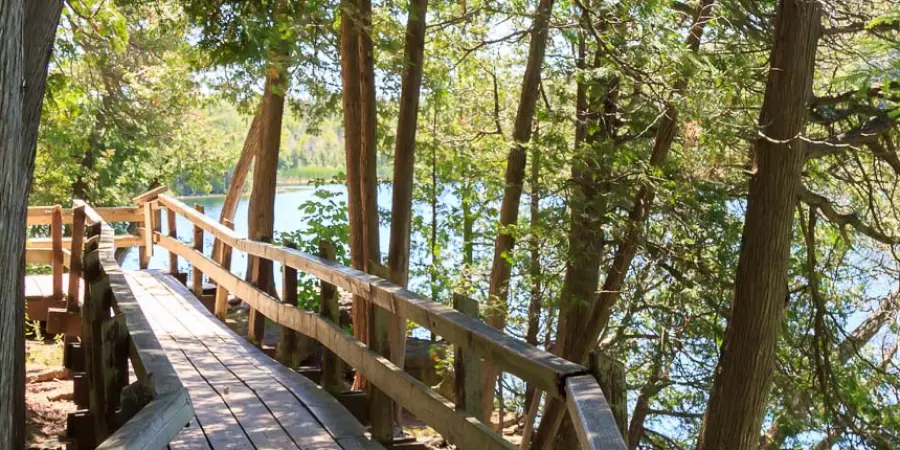 Wooden walkway along the shore of a river in sunlight