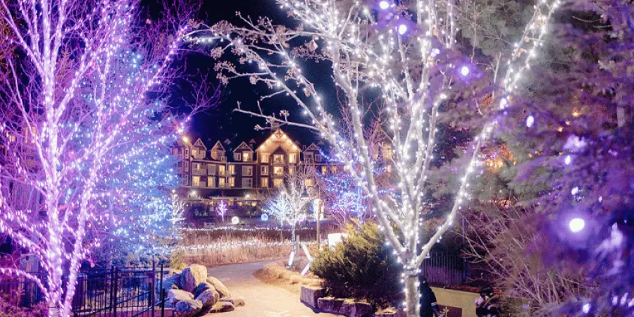 winter setting with building in distance among tree lit scene