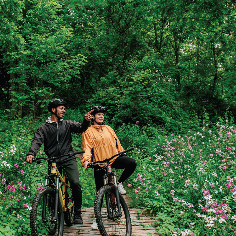 2 adults cycling along woodland trail
