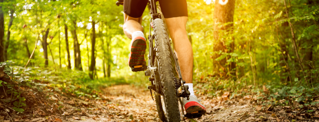 View of mountain bike tire from behind, as bike makes its way along forest path