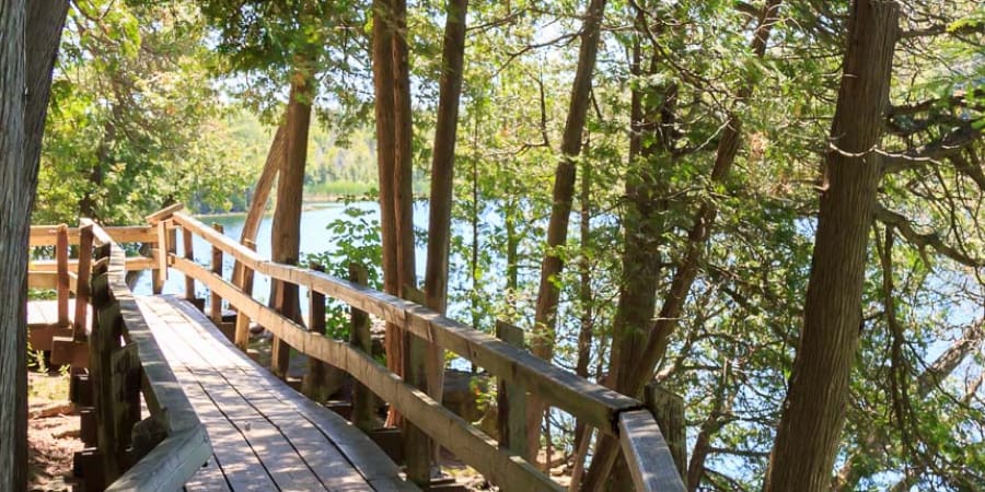 Wooden walkway along the shore of a river in sunlight
