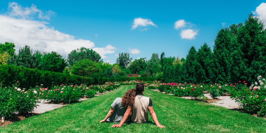 A couple of people lying in a field of green