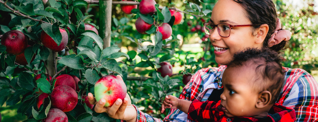 Woman and child picking apples in orchard